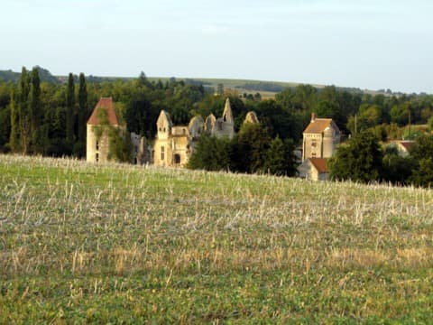 Élagueur Armentières-sur-Ourcq
