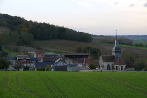 Élagueur Augy
