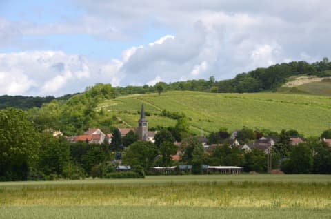 Élagueur Brasles