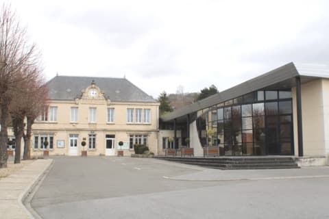 Élagueur Bucy-le-Long