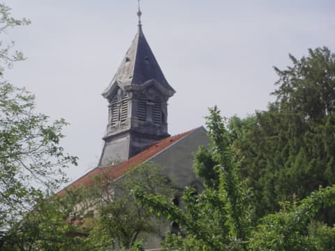 Élagueur Celles-sur-Aisne