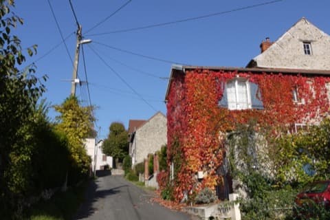 Élagueur Chartèves