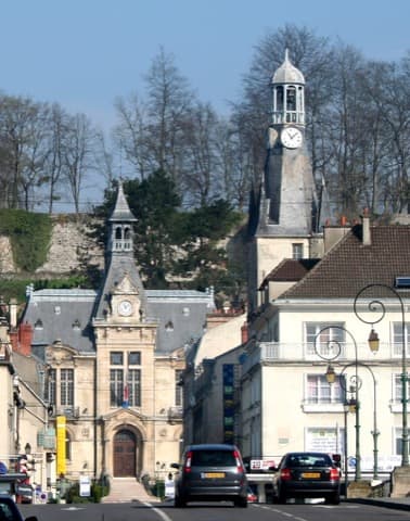 Élagueur Château-Thierry