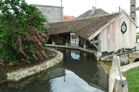 Élagueur Condé-en-Brie