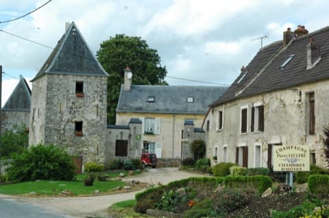 Élagueur Connigis