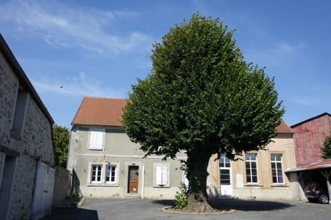Élagueur Courmont