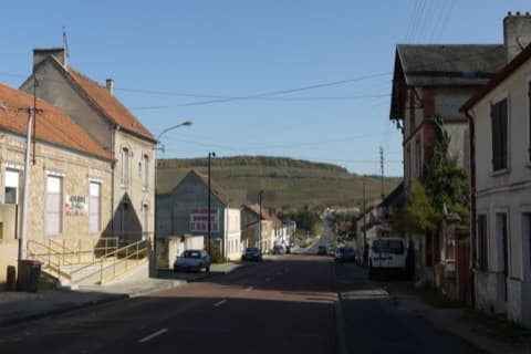 Élagueur Crézancy
