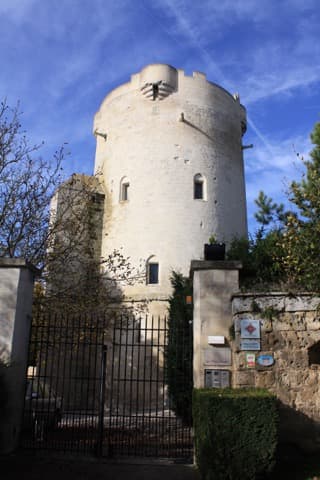 Élagueur Droizy