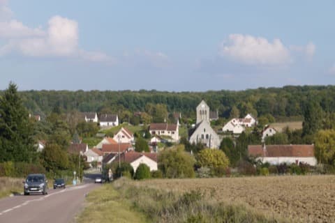Élagueur Épieds