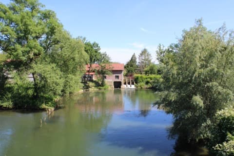 Élagueur Erloy
