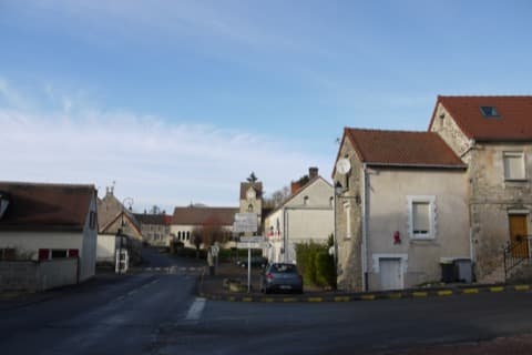 Élagueur Grisolles
