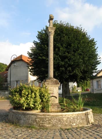 Élagueur La Croix-sur-Ourcq