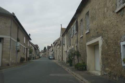 Élagueur Limé