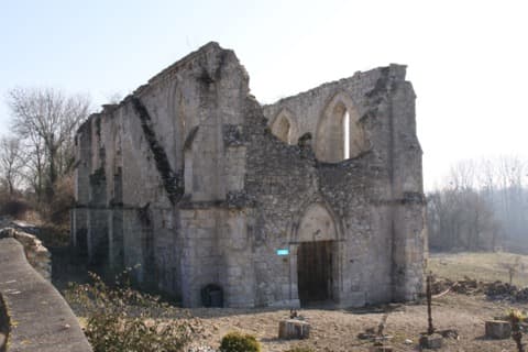 Élagueur Monnes
