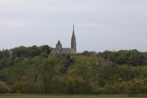 Élagueur Mont-Notre-Dame