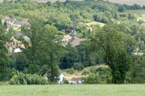 Élagueur Pargny-la-Dhuys