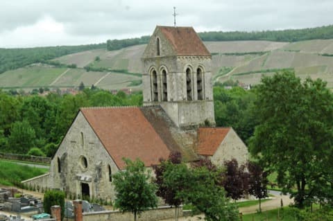 Élagueur Reuilly-Sauvigny