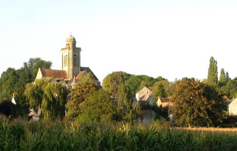 Élagueur Saint-Rémy-Blanzy