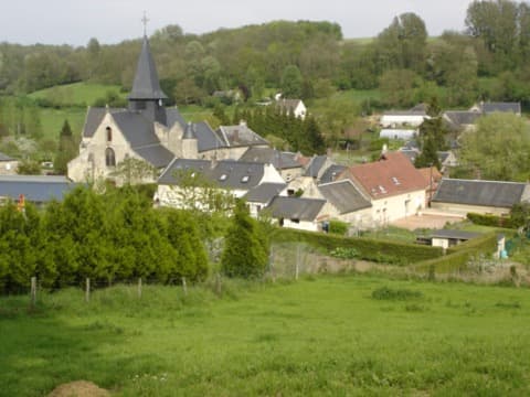Élagueur Selens