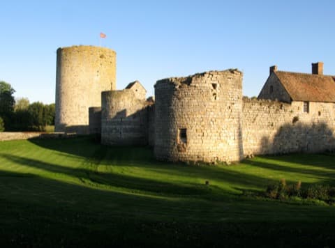 Élagueur Seringes-et-Nesles