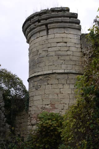 Élagueur Ville-Savoye